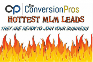 The Conversion Pros Review