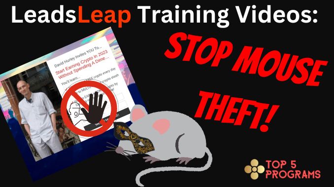 stopmousetheft