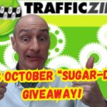 October2024TrafficZipperOffer